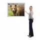 LED Lightbox Sign 24 x 36 Bright Display with Rounded Corner LED Lightbox Sign 24 x 36 Bright Display with Rounded Corner