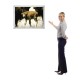 Safety Corner LED Light Box Graphic Display, 16 x 20 Safety Corner LED Light Box Graphic Display, 16 x 20